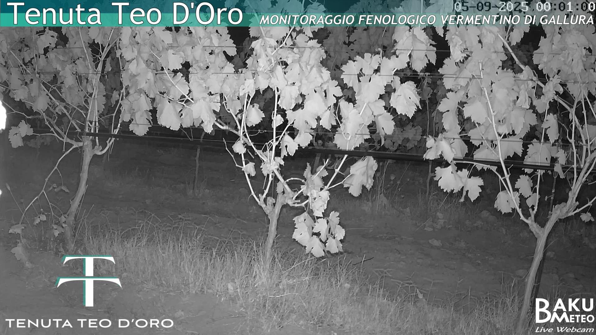 time-lapse frame, Teodoro webcam