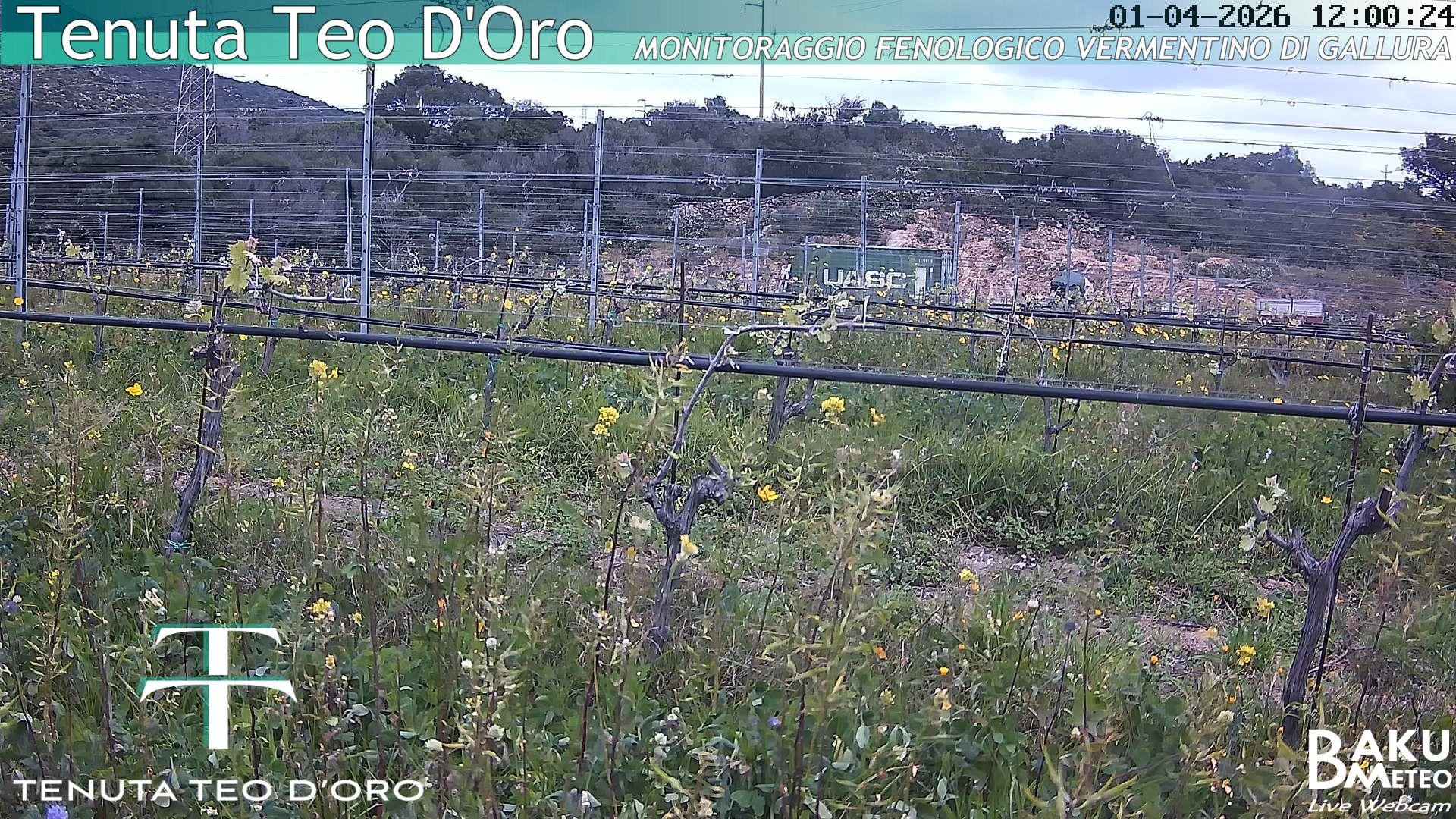 time-lapse frame, Teodoro webcam