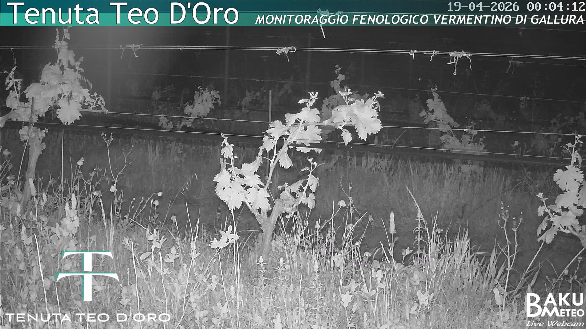 time-lapse frame, Teodoro webcam