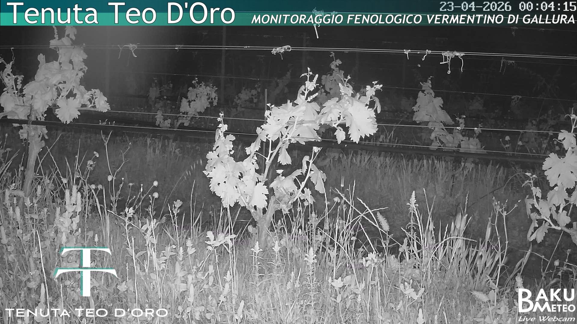 time-lapse frame, Teodoro webcam