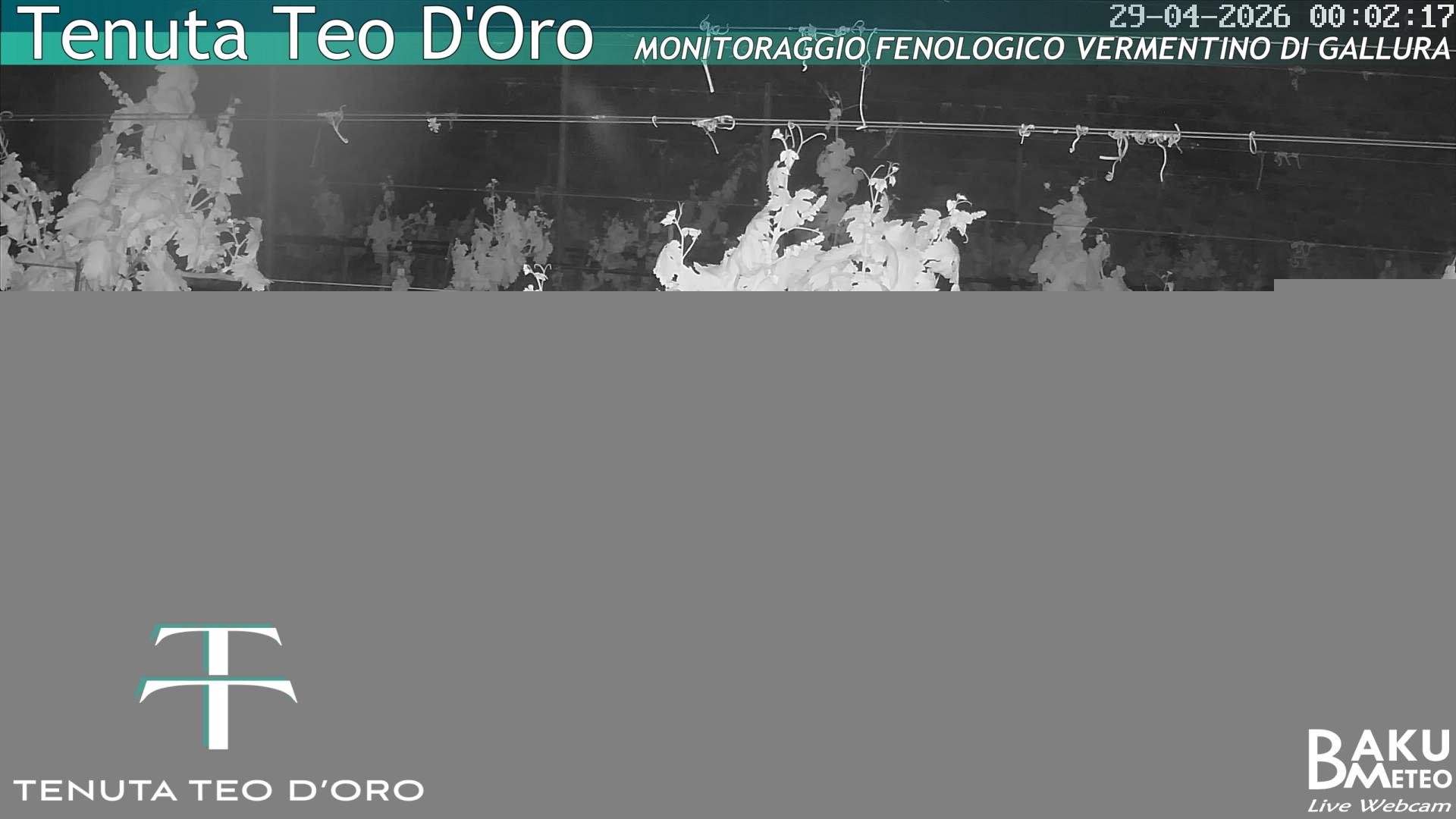 time-lapse frame, Teodoro webcam