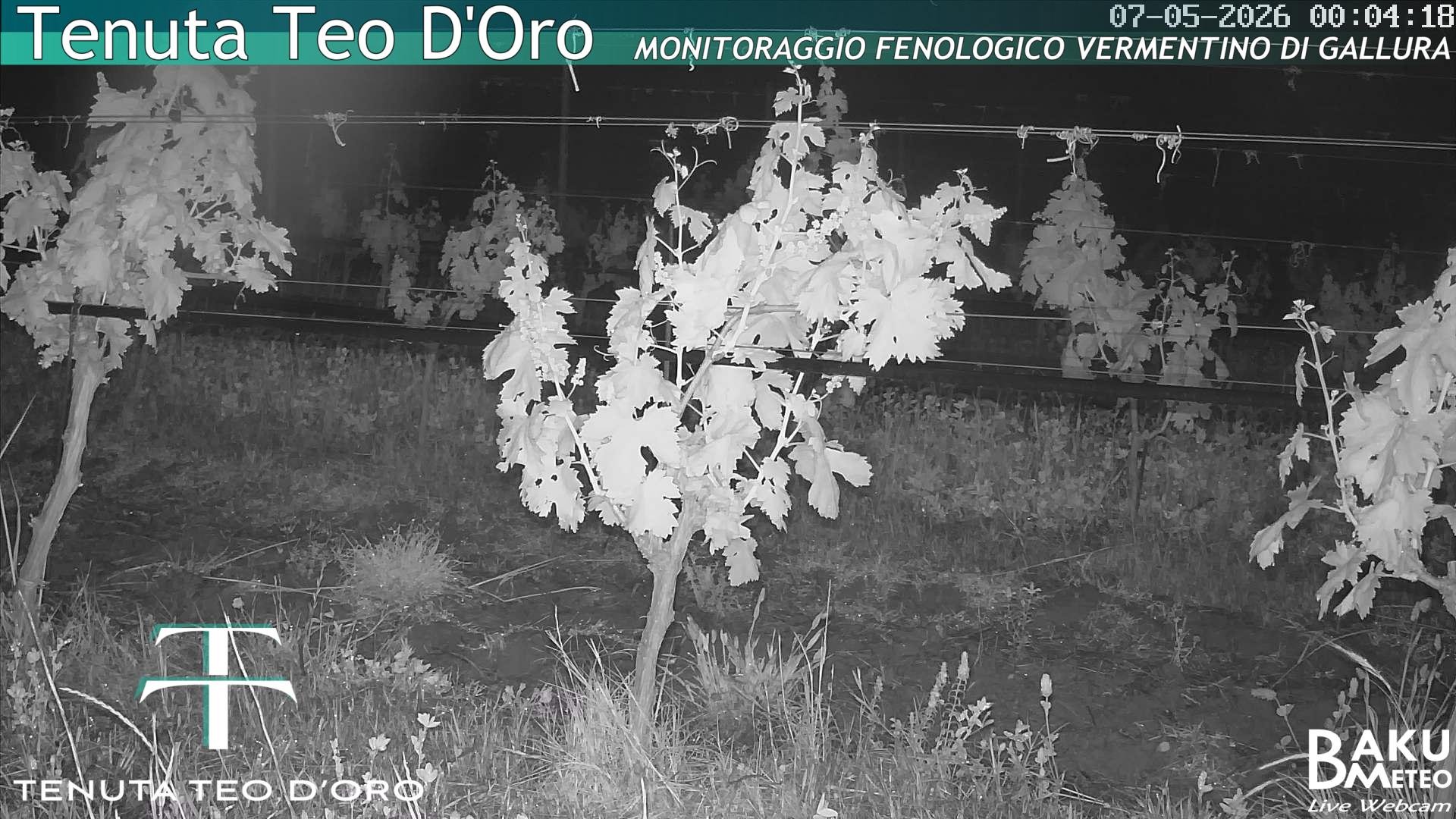 time-lapse frame, Teodoro webcam