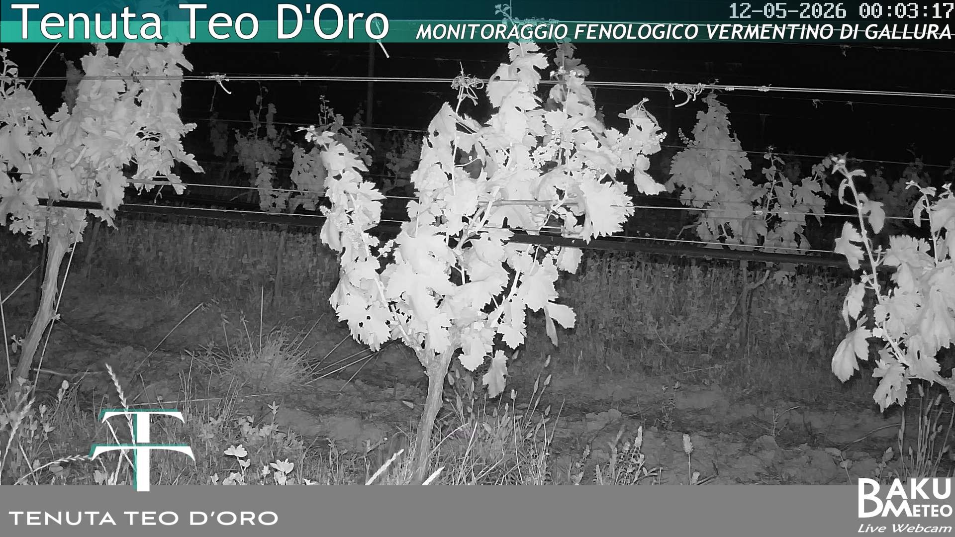 time-lapse frame, Teodoro webcam