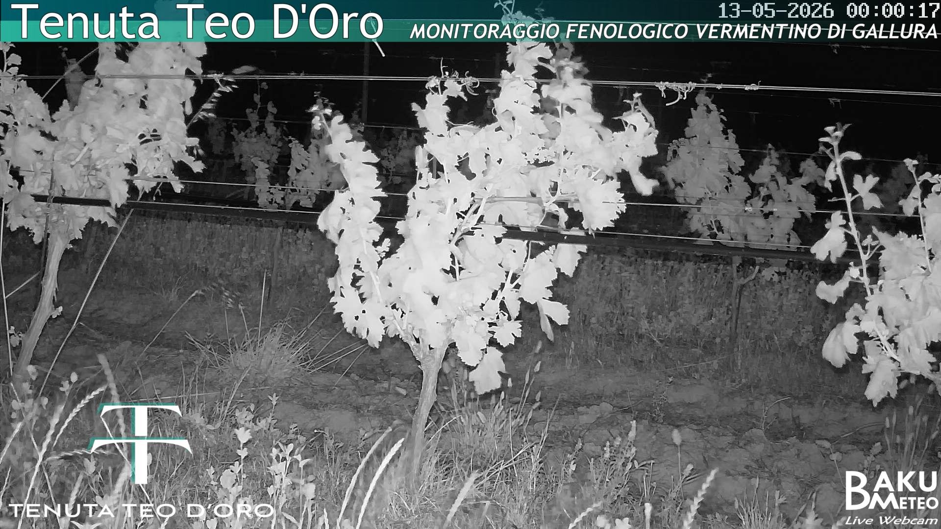time-lapse frame, Teodoro webcam