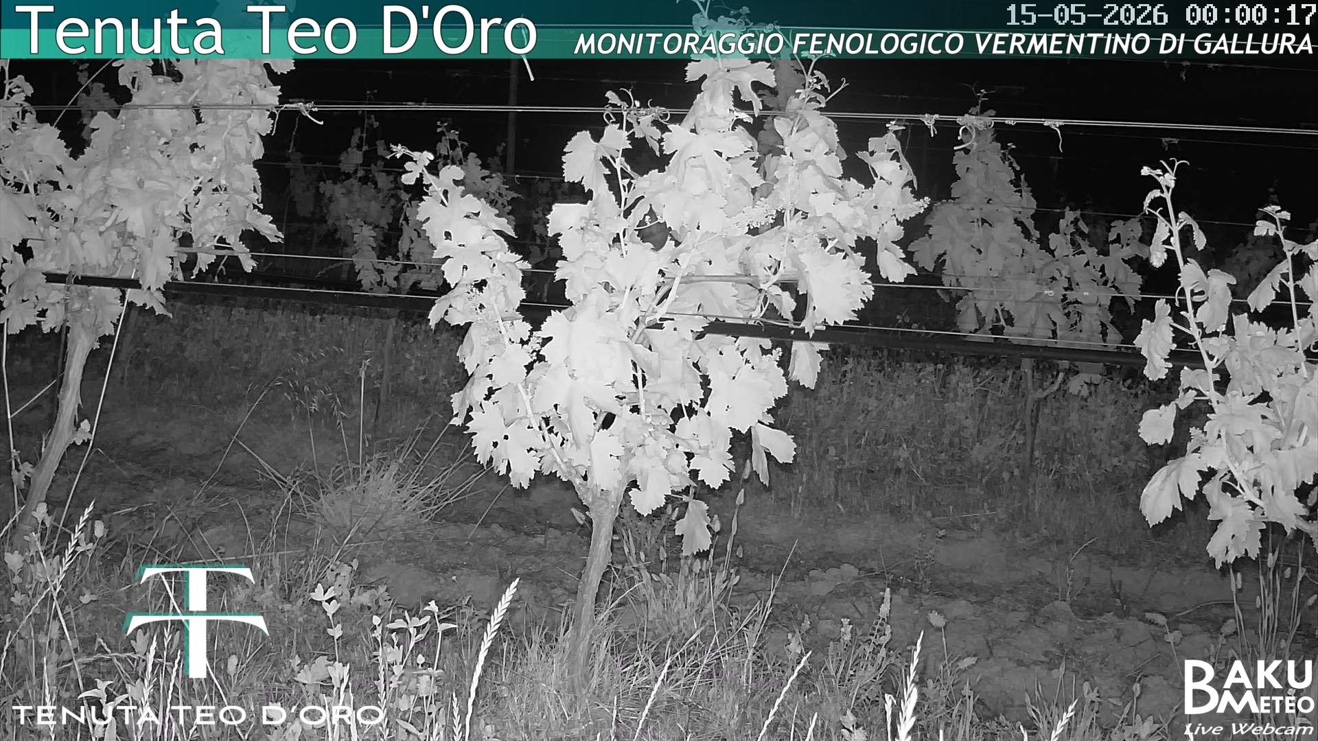 time-lapse frame, Teodoro webcam