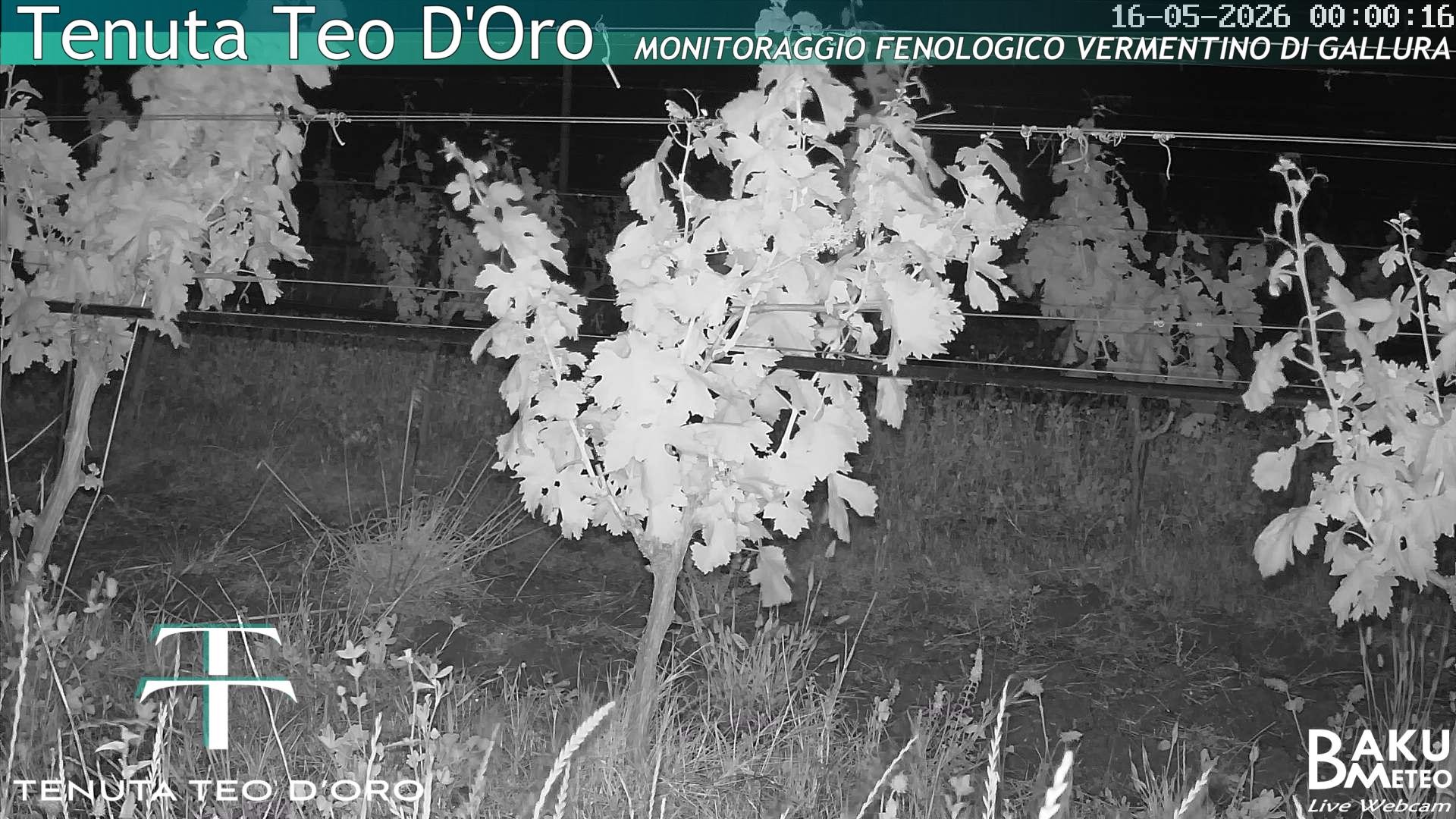 time-lapse frame, Teodoro webcam