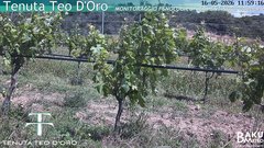 view from Teodoro on 2026-05-16