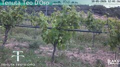 view from Teodoro on 2026-05-18