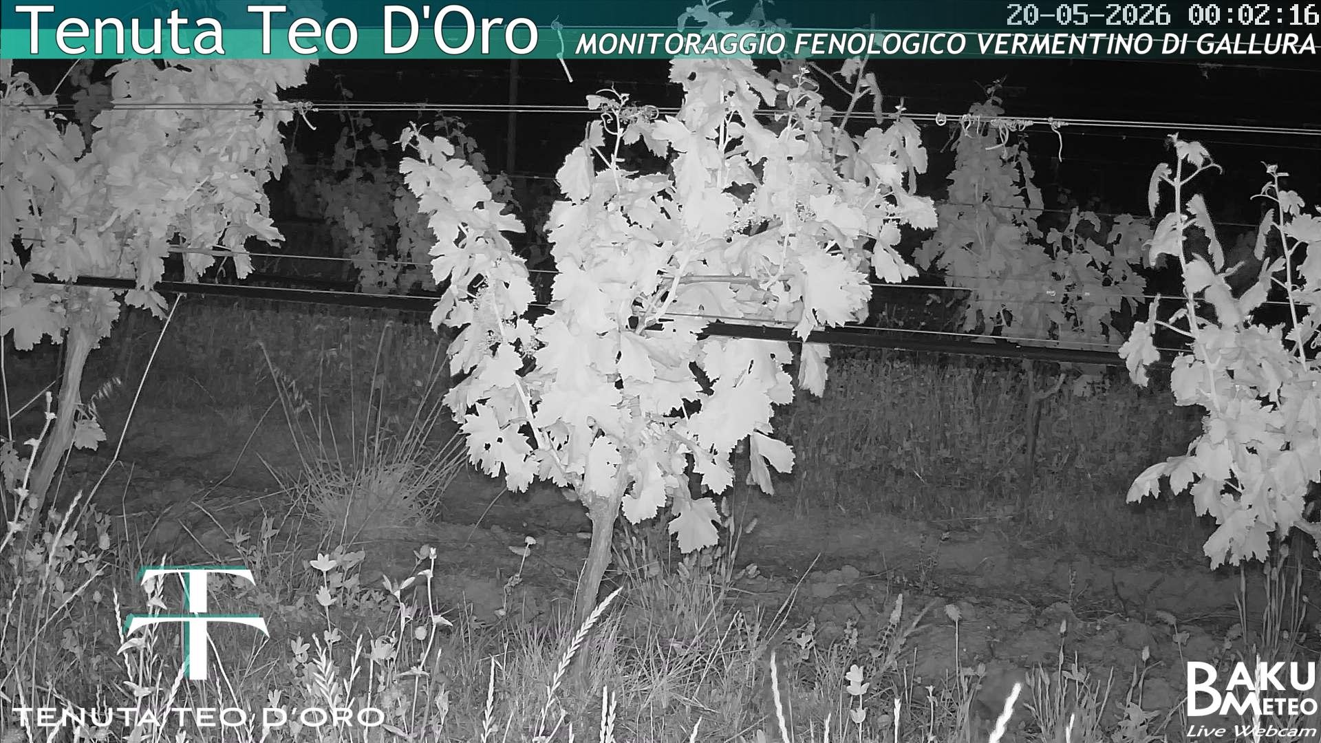 time-lapse frame, Teodoro webcam