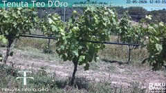 view from Teodoro on 2026-05-22