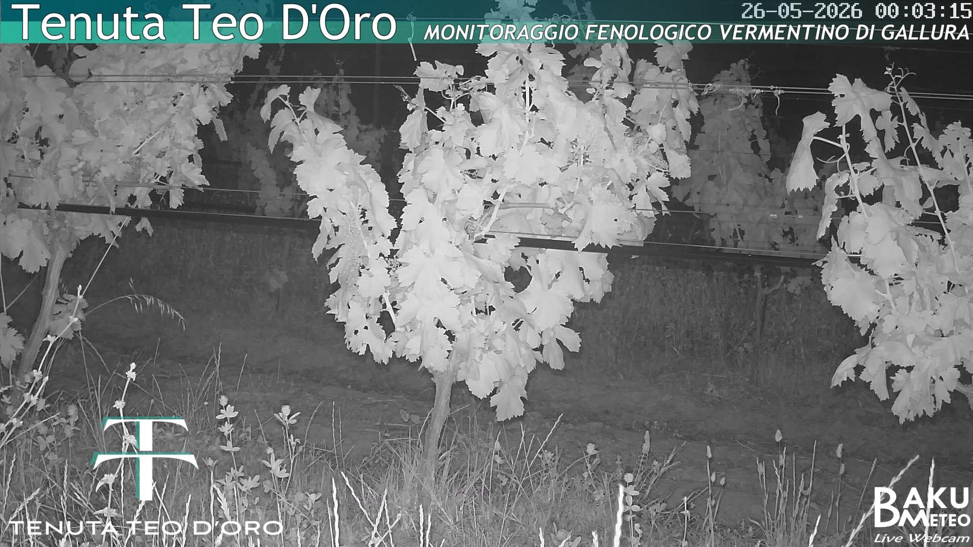 time-lapse frame, Teodoro webcam
