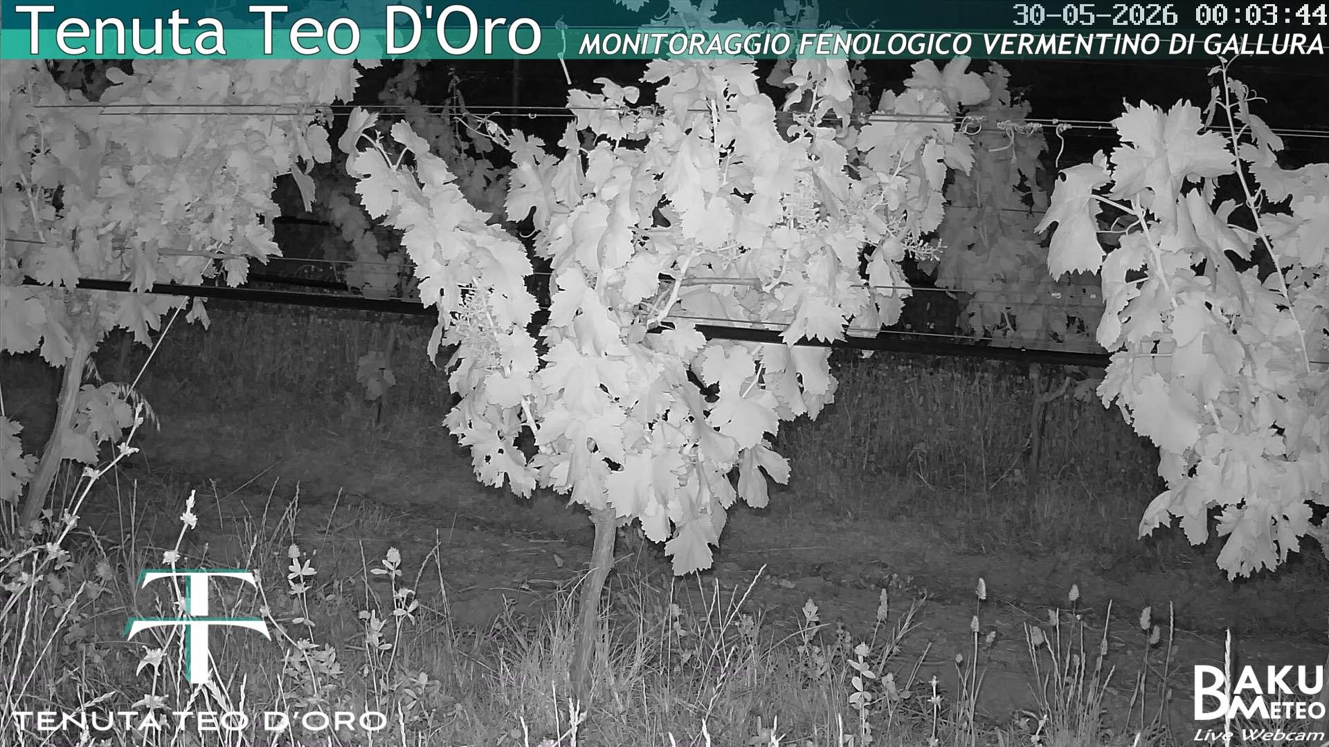 time-lapse frame, Teodoro webcam