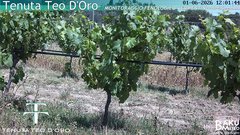 view from Teodoro on 2026-06-01