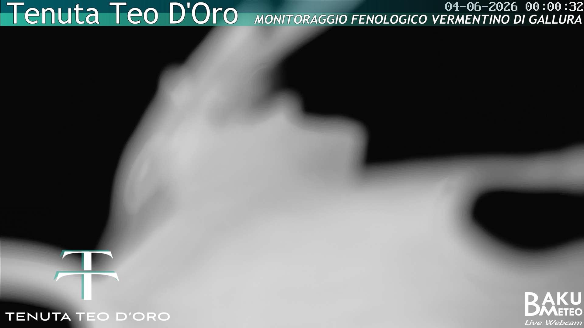 time-lapse frame, Teodoro webcam