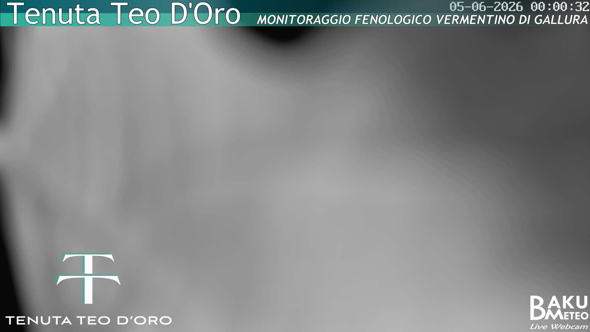 time-lapse frame, Teodoro webcam