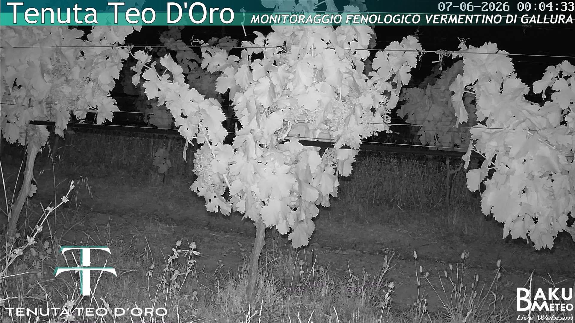 time-lapse frame, Teodoro webcam