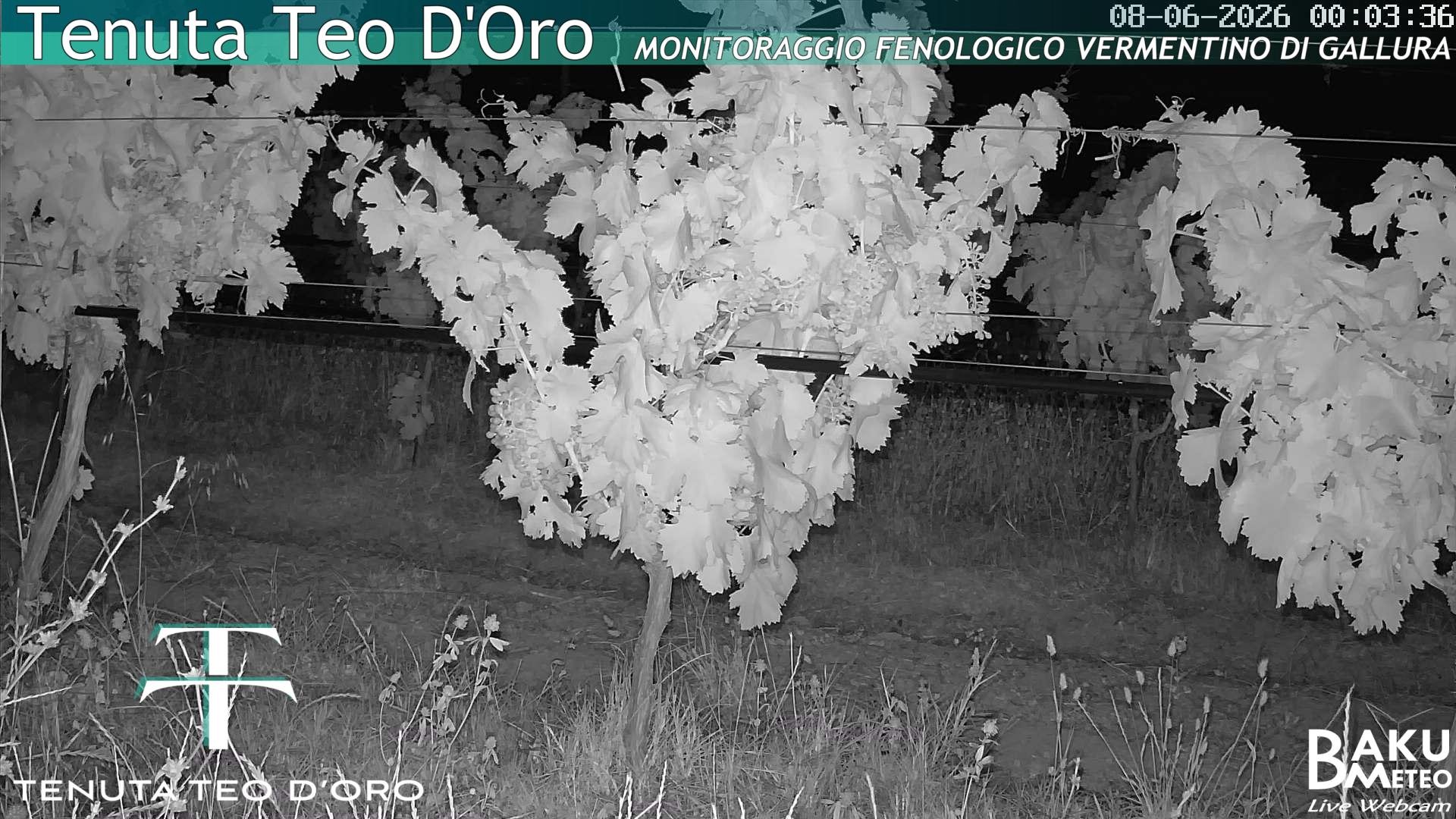 time-lapse frame, Teodoro webcam