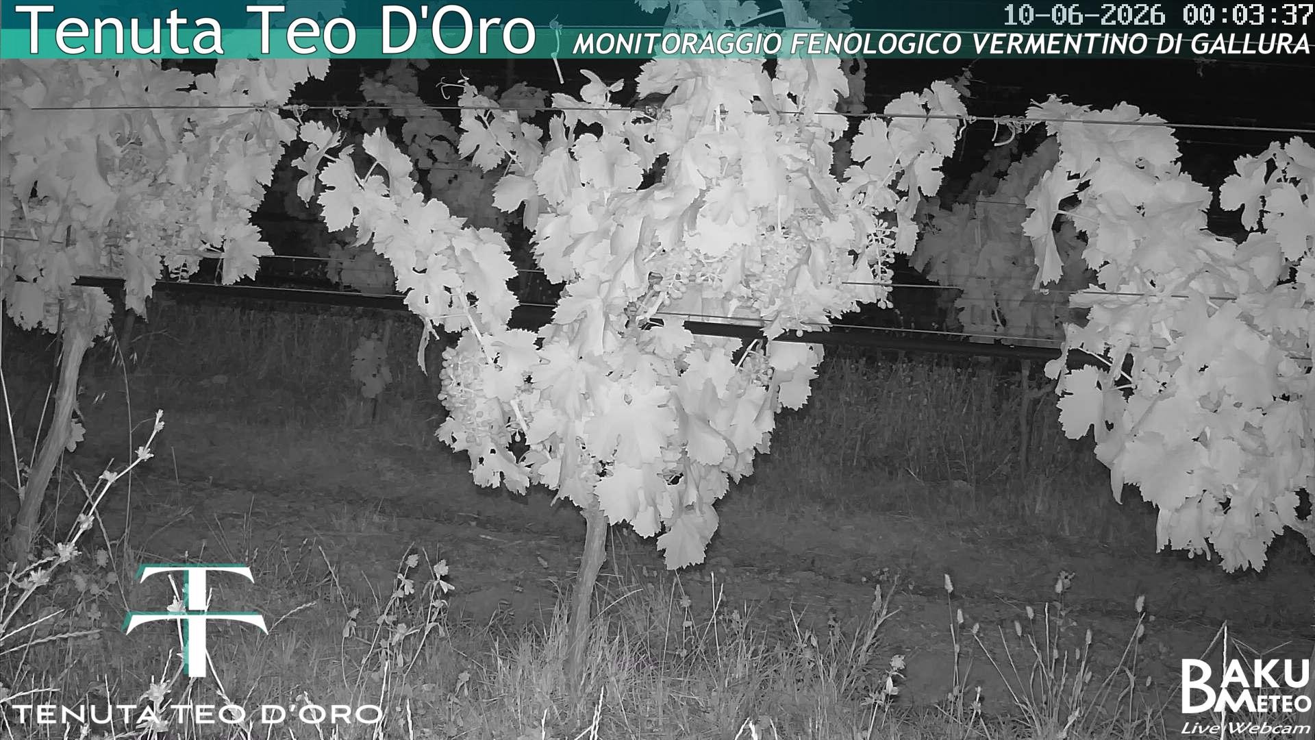 time-lapse frame, Teodoro webcam