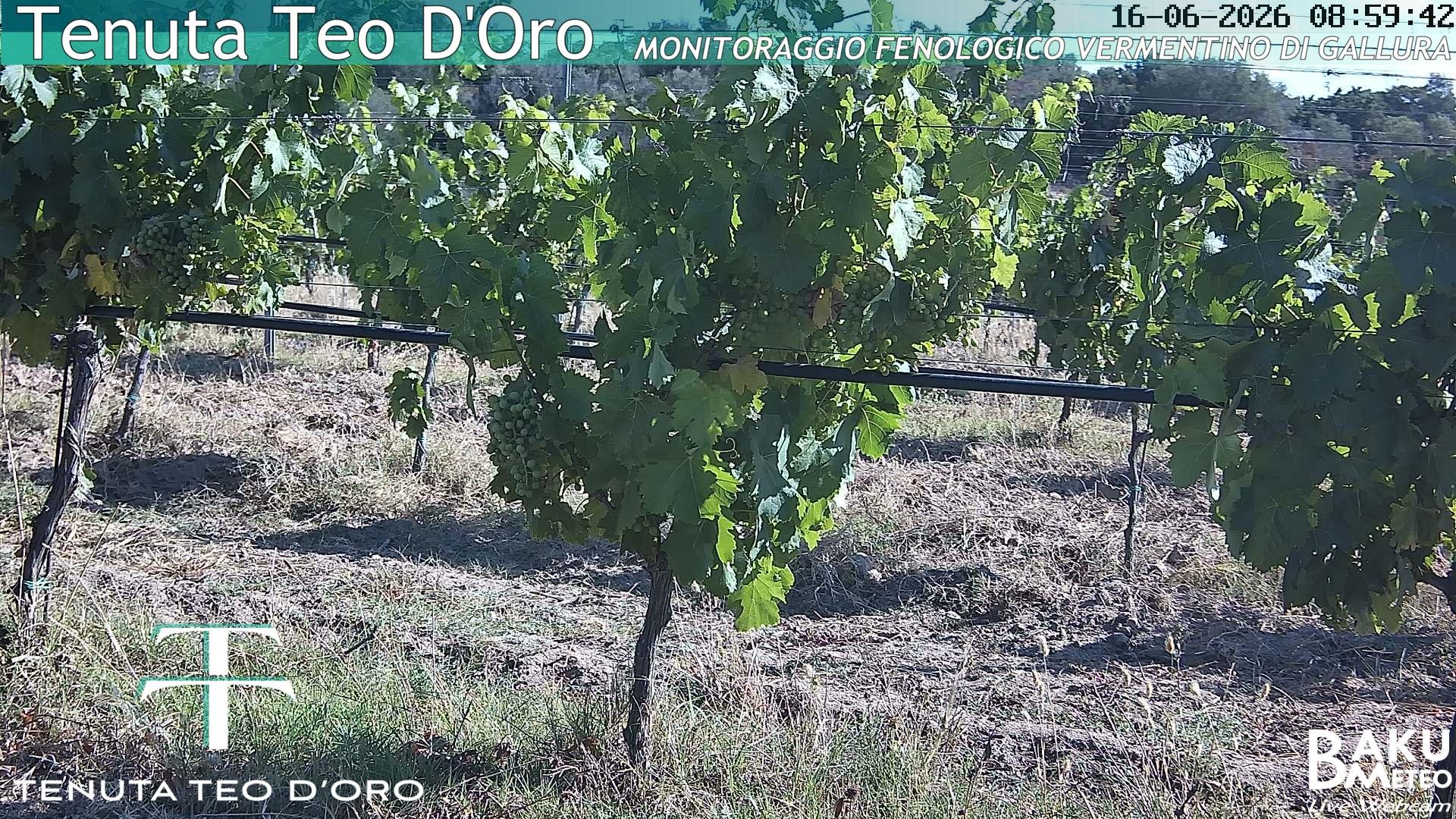time-lapse frame, Teodoro webcam