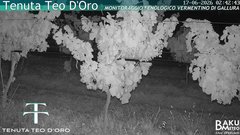 view from Teodoro on 2026-06-17