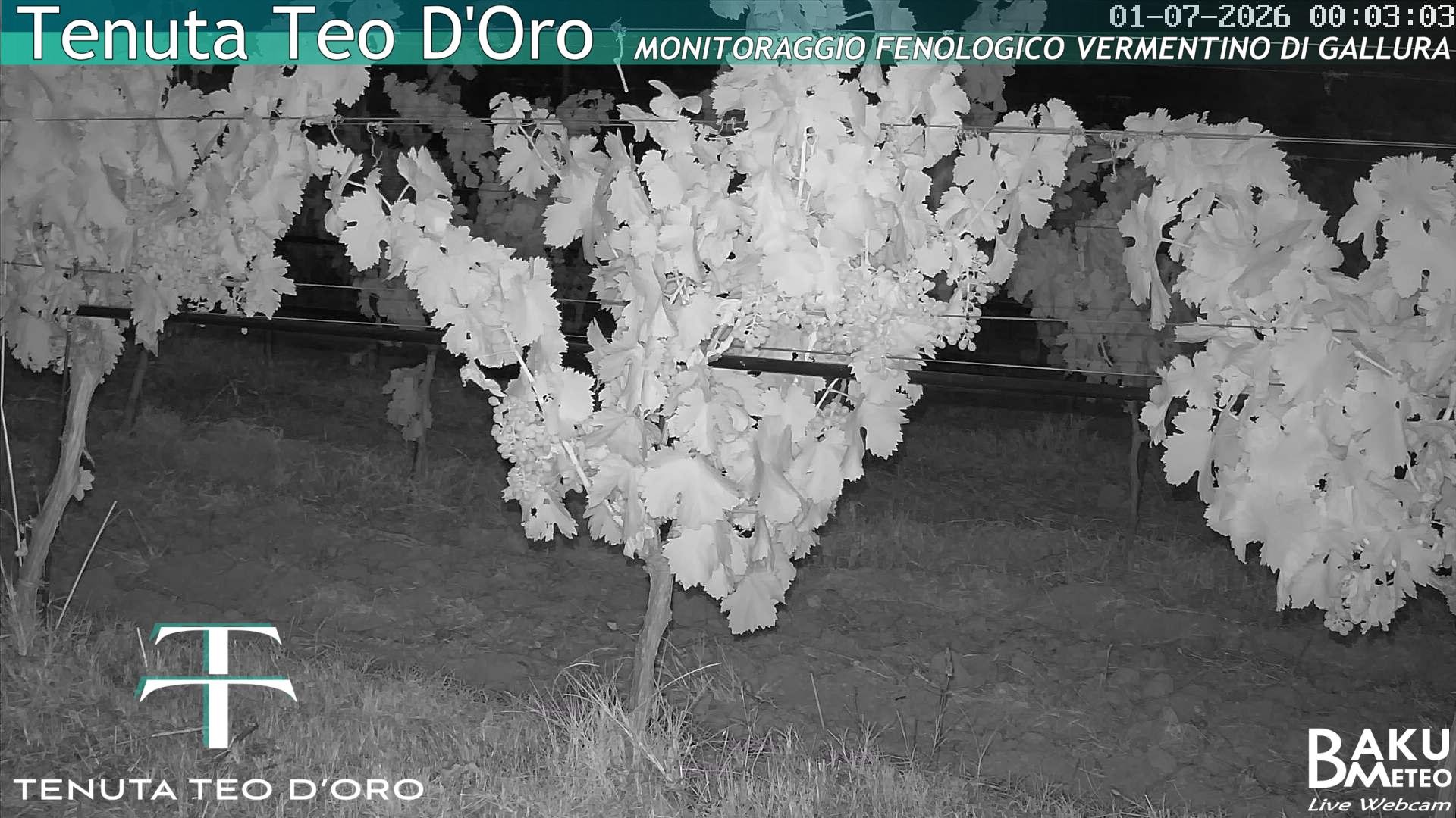 time-lapse frame, Teodoro webcam