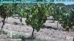 view from Teodoro on 2026-07-05