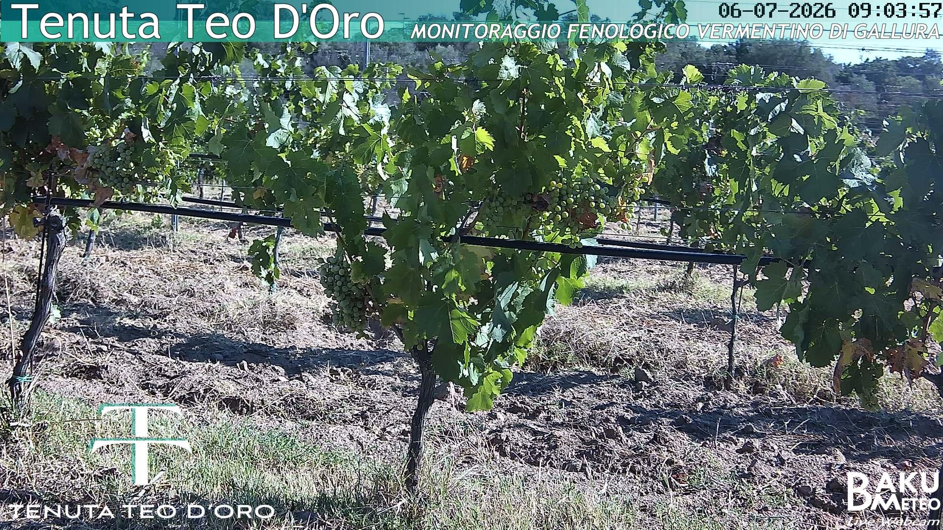 time-lapse frame, Teodoro webcam