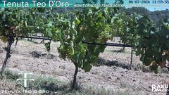 view from Teodoro on 2026-07-06