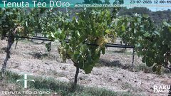 view from Teodoro on 2026-07-23