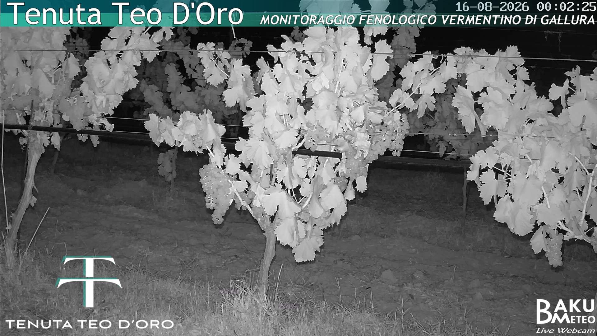 time-lapse frame, Teodoro webcam