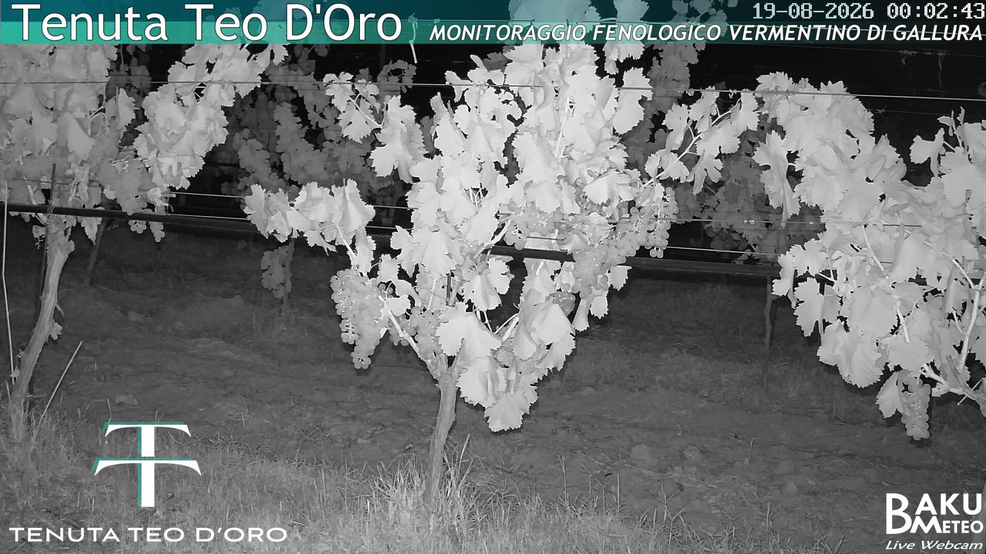 time-lapse frame, Teodoro webcam