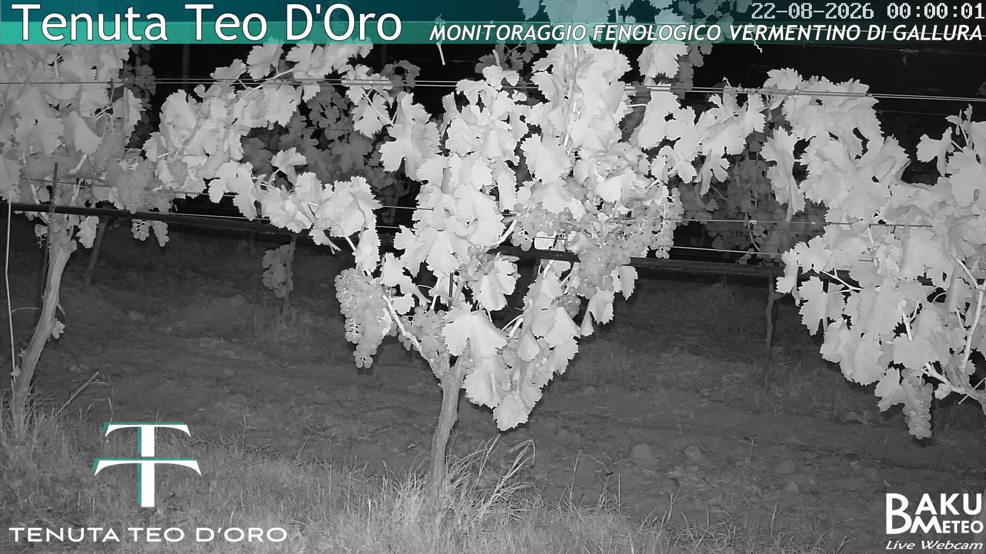 time-lapse frame, Teodoro webcam