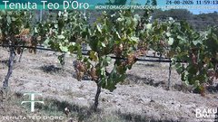 view from Teodoro on 2026-08-24