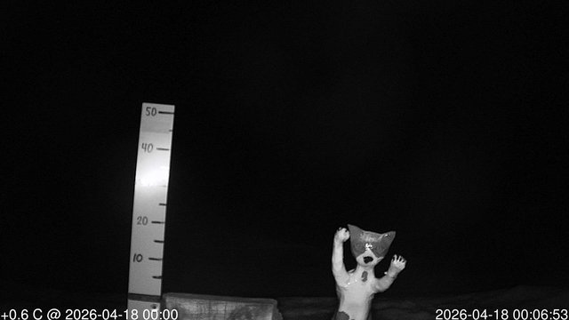 time-lapse frame, snowstump webcam