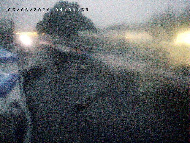 time-lapse frame, Troja - bottom webcam