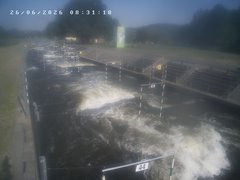 view from Troja - bottom on 2026-06-26