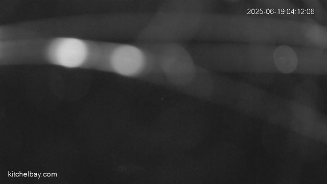 time-lapse frame, kitchelbay.com webcam