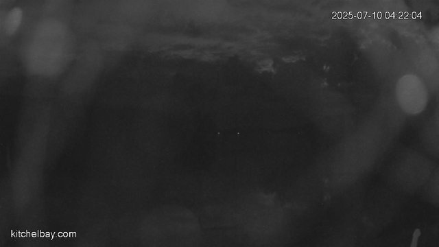 time-lapse frame, kitchelbay.com webcam