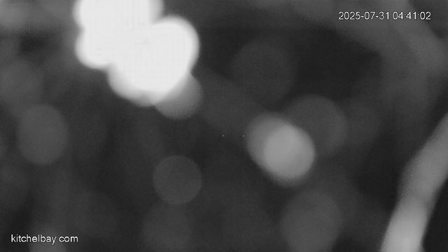 time-lapse frame, kitchelbay.com webcam