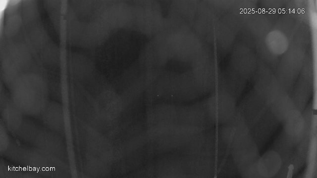 time-lapse frame, kitchelbay.com webcam