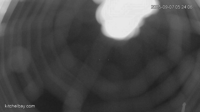 time-lapse frame, kitchelbay.com webcam