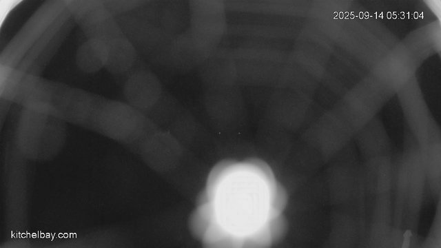 time-lapse frame, kitchelbay.com webcam
