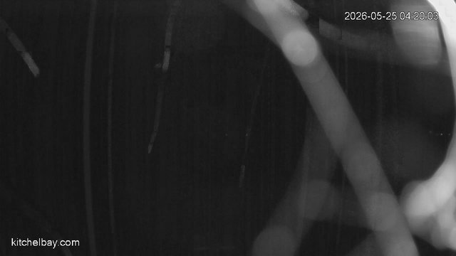 time-lapse frame, kitchelbay.com webcam