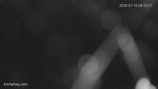 time-lapse frame, kitchelbay.com webcam