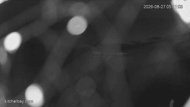 time-lapse frame, kitchelbay.com webcam