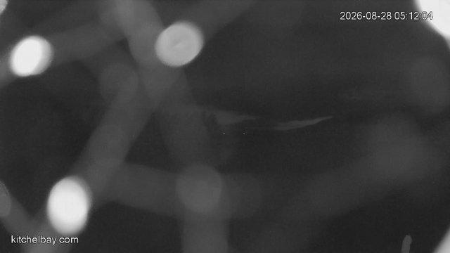 time-lapse frame, kitchelbay.com webcam