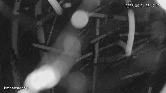 time-lapse frame, kitchelbay.com webcam
