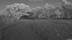 view from CreekCam West on 2025-07-04