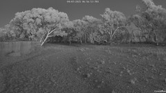view from CreekCam West on 2025-07-04