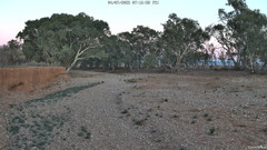 view from CreekCam West on 2025-07-04